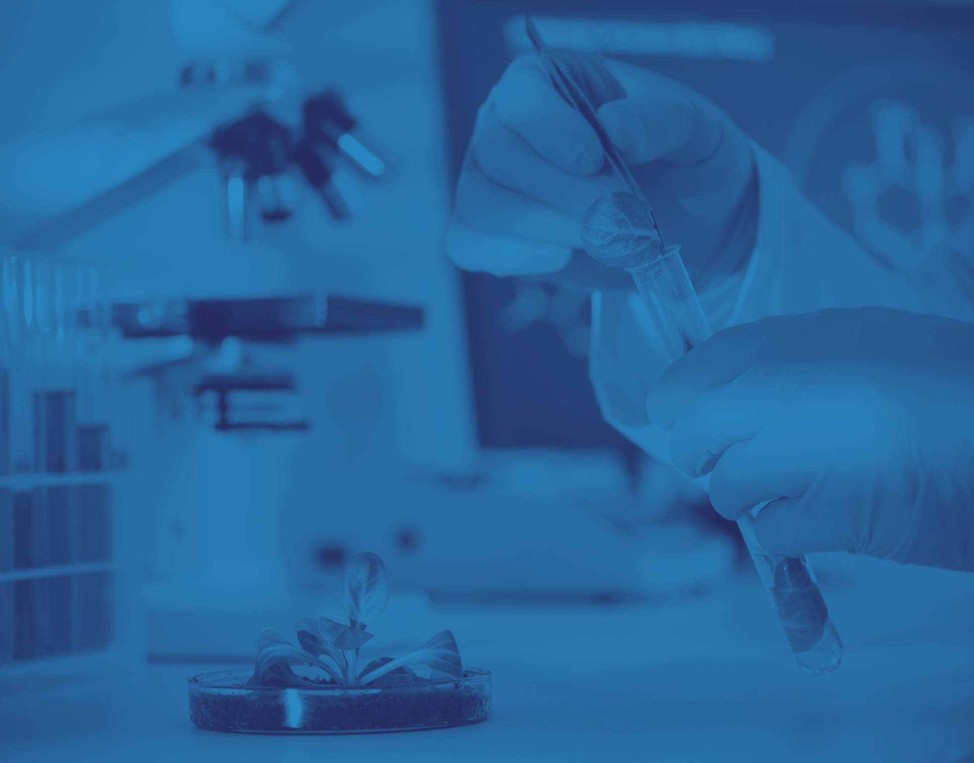 5 biotecnológicas asturianas que están cambiando el sector