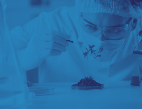 Del residuo al recurso: cómo la biotecnología impulsa una economía más sostenible